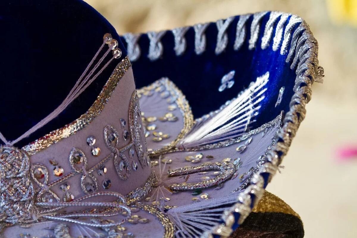 Mariachi cayó a la alberca en plena serenata