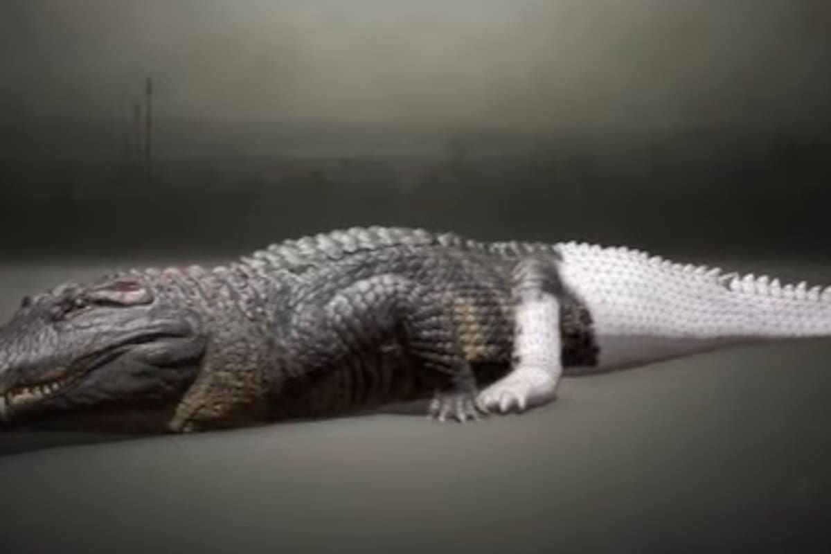 Los cocodrilos prehistóricos eran tan grandes que se alimentaban de dinosaurios