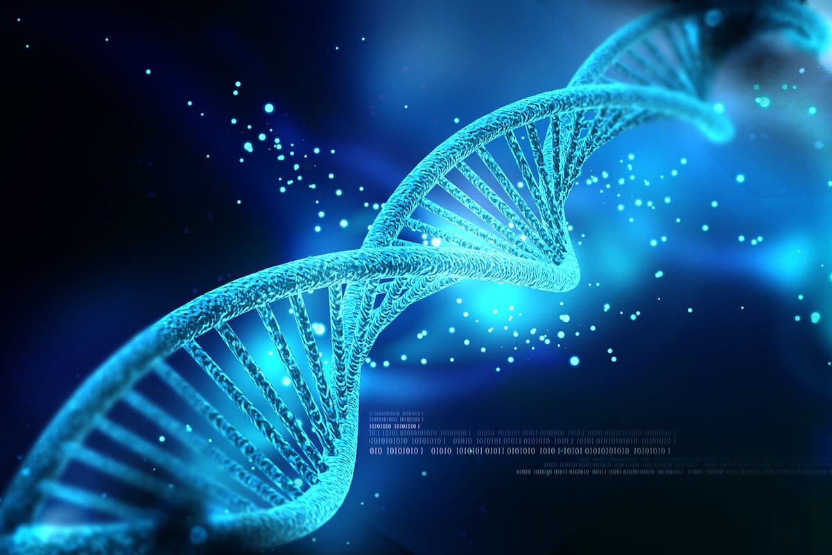 ¿Sabías que una célula humana puede contener hasta 2 metros de ADN enrollado?