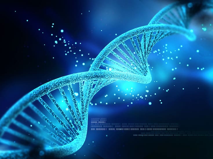 ¿Sabías que una célula humana puede contener hasta 2 metros de ADN enrollado?