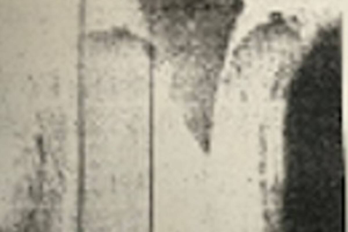 Se busca a Germán Germain Canchola Ortiz de 39 años de edad