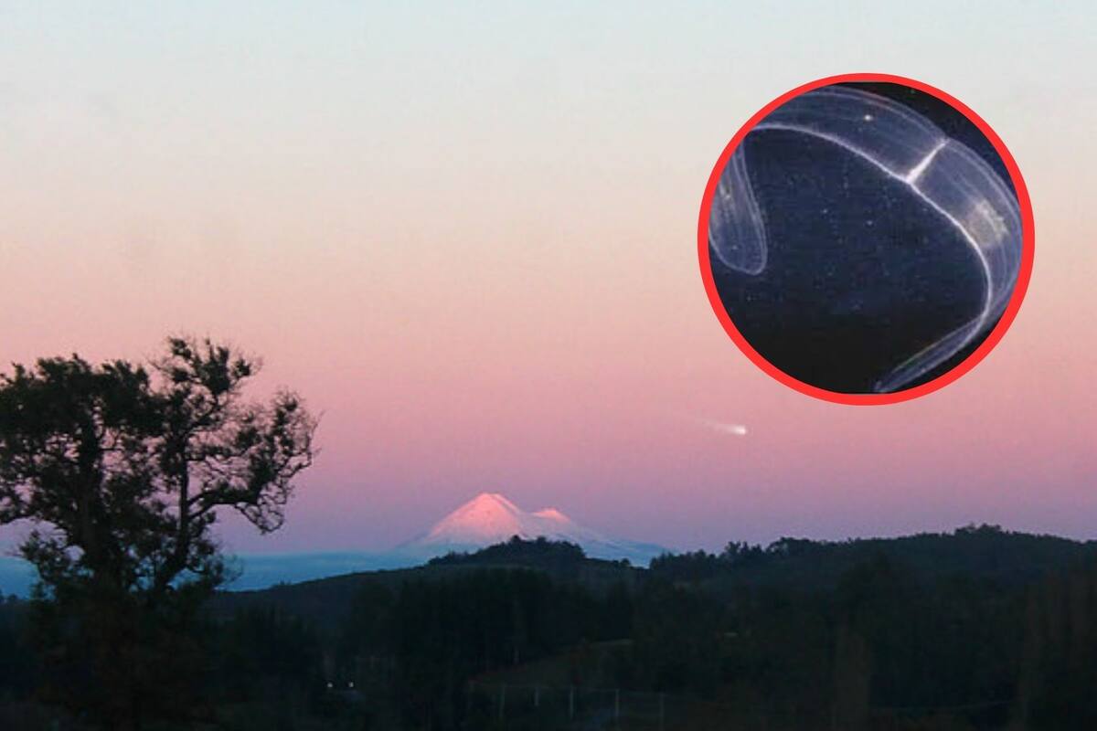 ¿Qué es el Cinturón de Venus y a qué hora es posible verlo?
