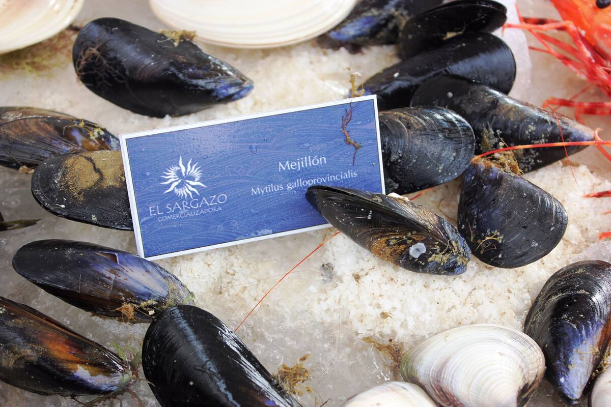 Fomentan consumo de pescado y marisco local
