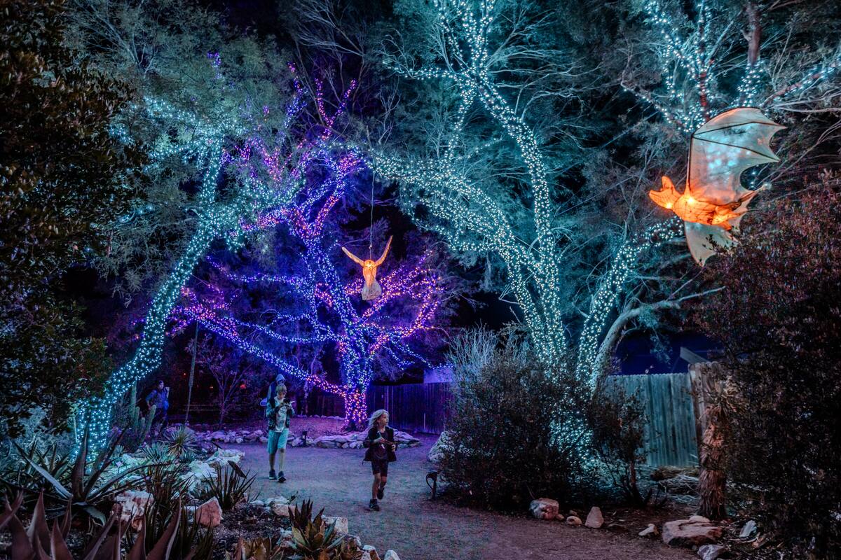 Descubre las Mejores Actividades Navideñas en Phoenix y Flagstaff