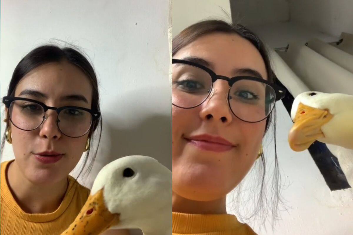 Tiktoker posa junto con su pato para ver si se parecen y se vuelve viral en TikTok