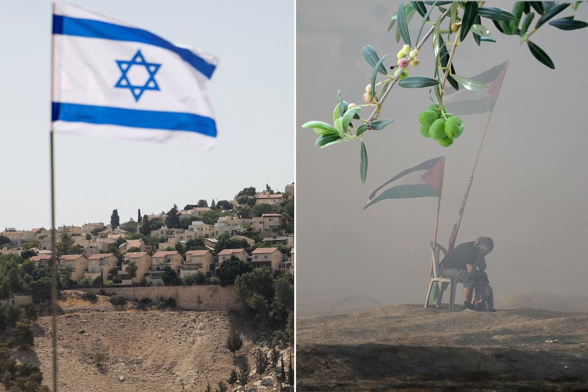 Cosecha del olivo en Palestina: Una temporada de violencia, robo y resistencia