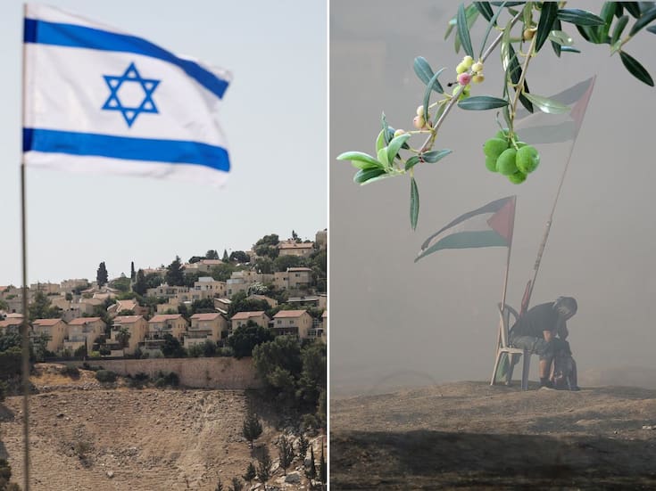 Cosecha del olivo en Palestina: Una temporada de violencia, robo y resistencia