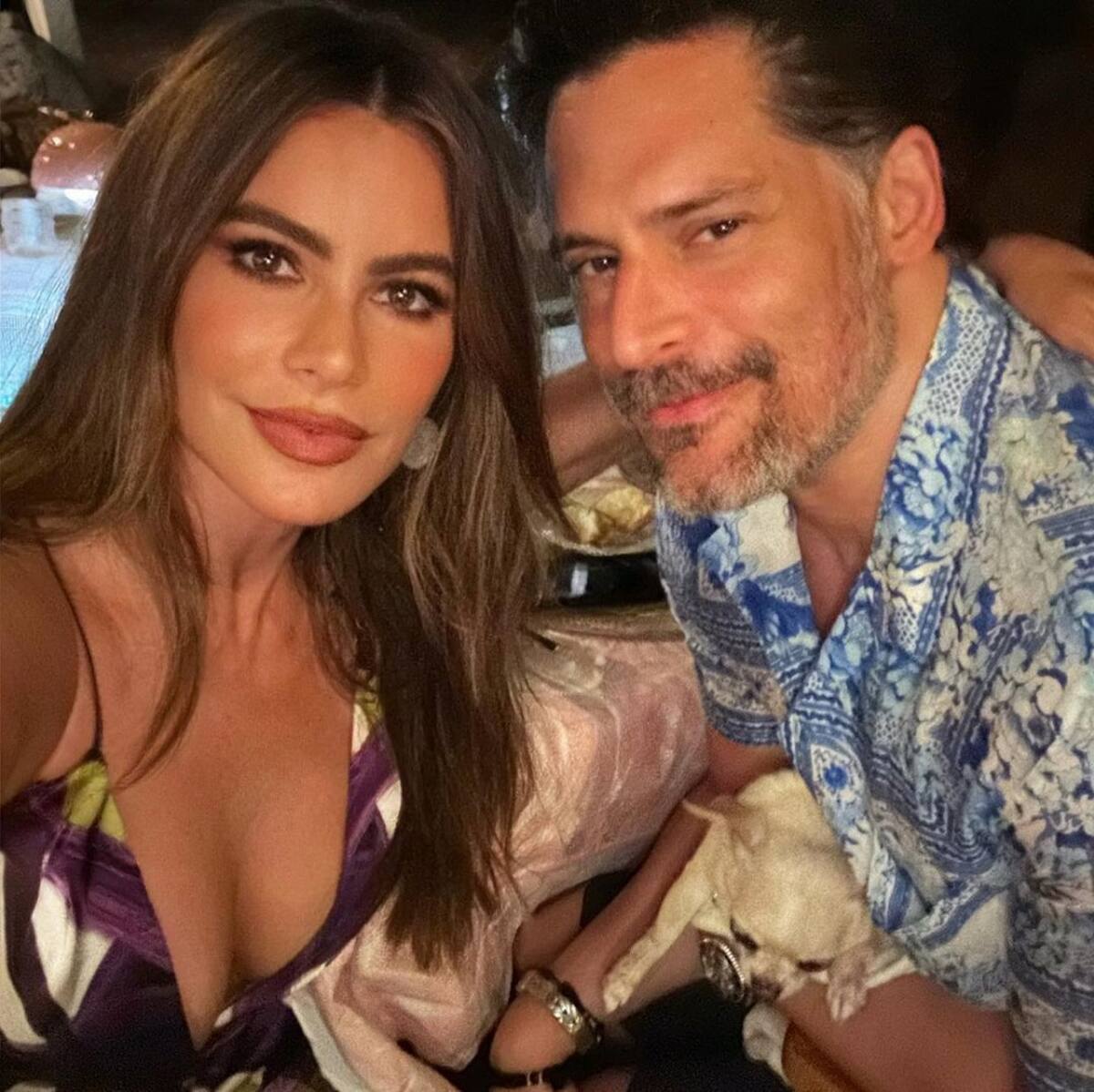Sofía Vergara y Joe Manganiello concluyeron su matrimonio en buenos términos.