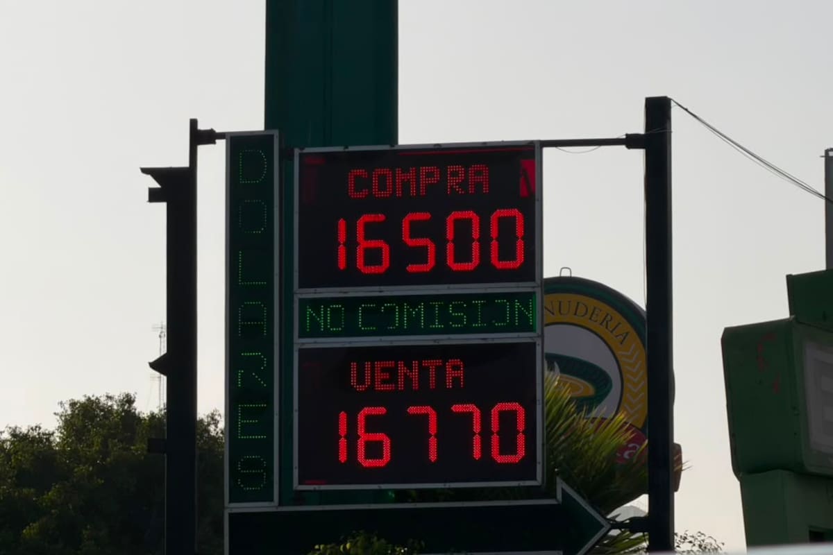 Dólar hoy en Tijuana: ¿a cuánto está este viernes 21 de agosto?