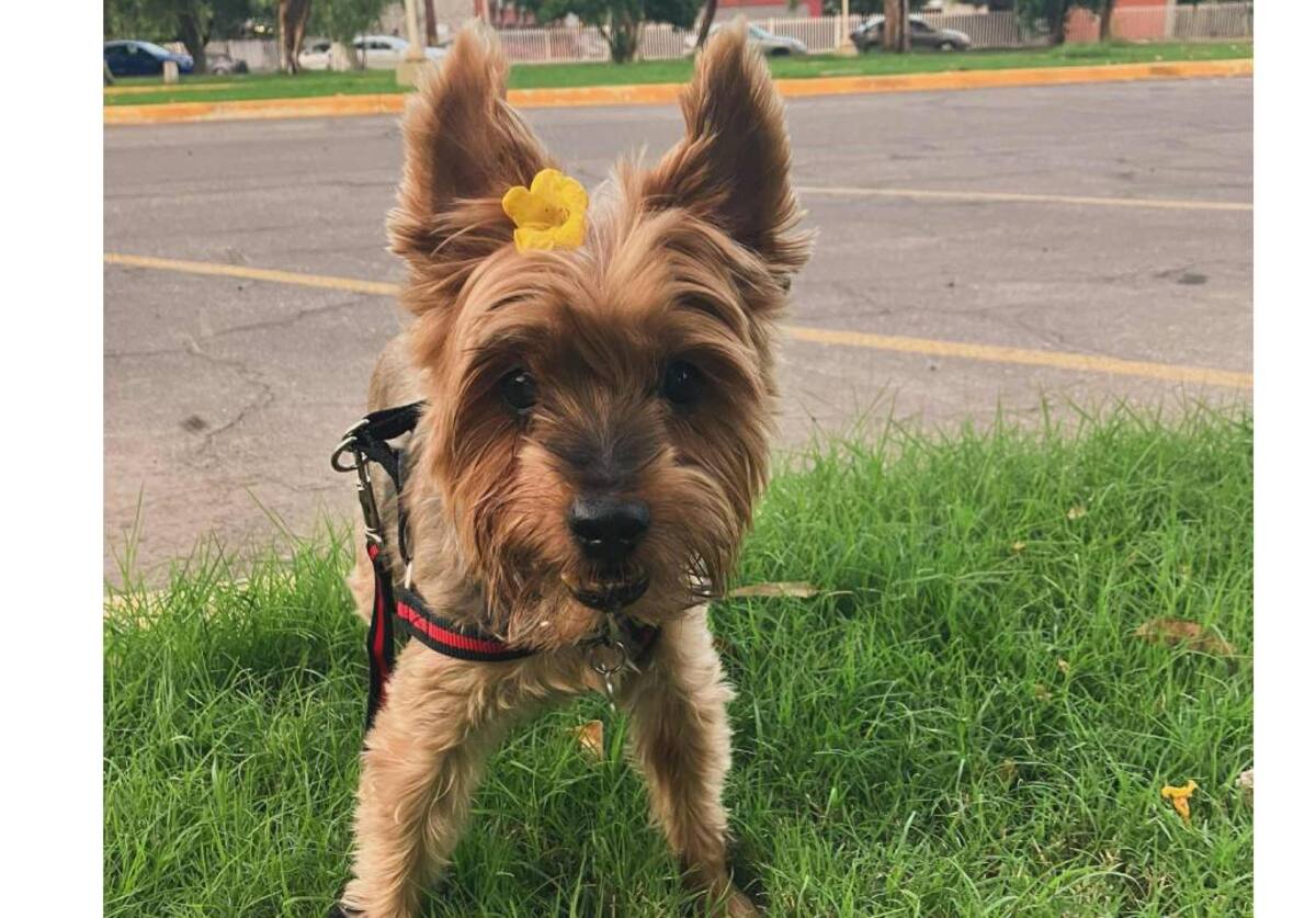 Foto: Cortesía