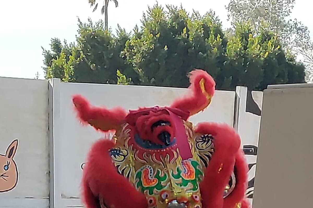 Comparten Año Nuevo Chino dedicado al Dragón