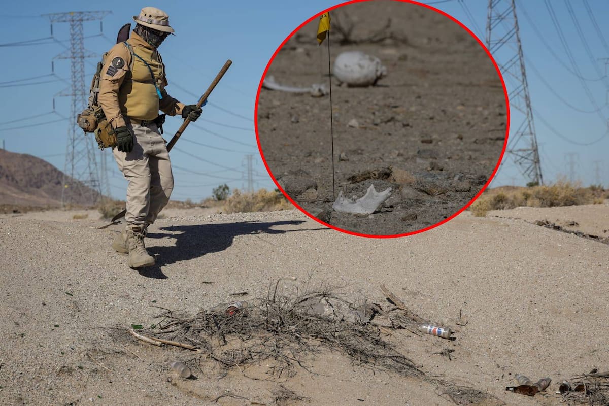 Localizan restos óseos en zona desértica de El Centinela