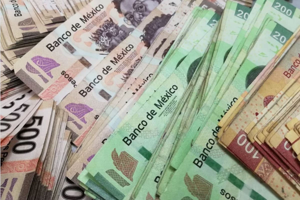 Apoyos para micro, pequeñas y medianas empresas superan los 300 mdp