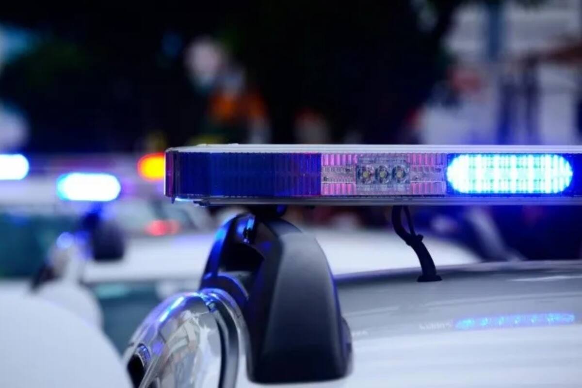 Guadalajara: Hombre esposado se roba patrulla y la estrella contra una palmera