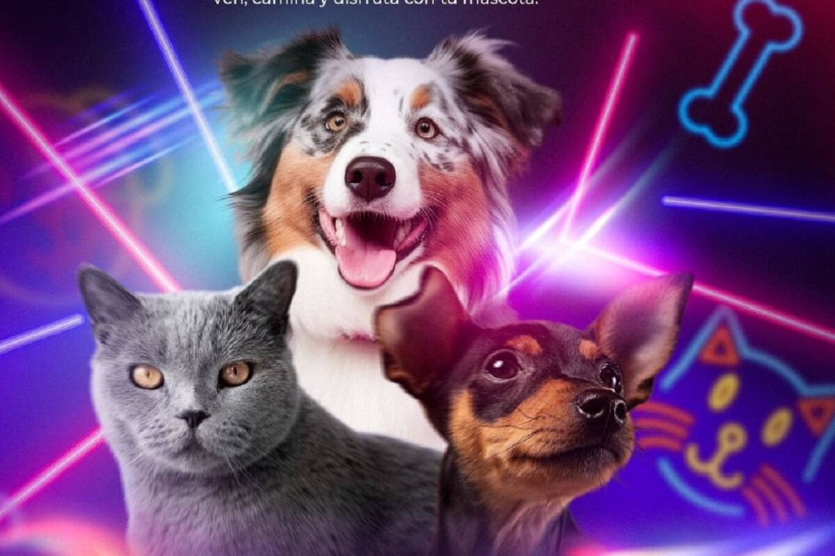 Ayuntamiento de Tijuana invita a Feria de las Mascotas 'Neon party'