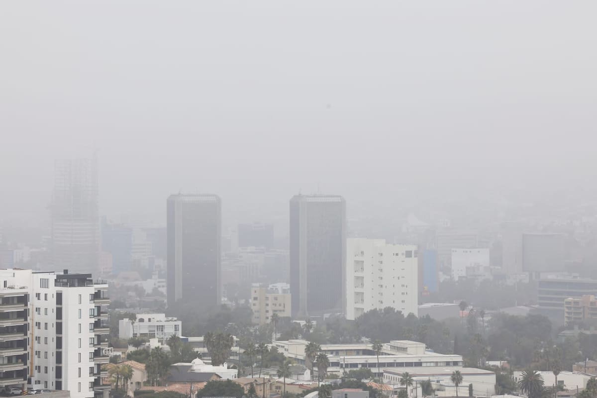 Densa neblina afecta operaciones aéreas y movilidad en Tijuana