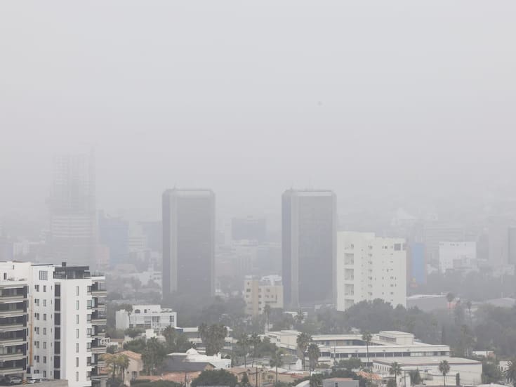Densa neblina afecta operaciones aéreas y movilidad en Tijuana
