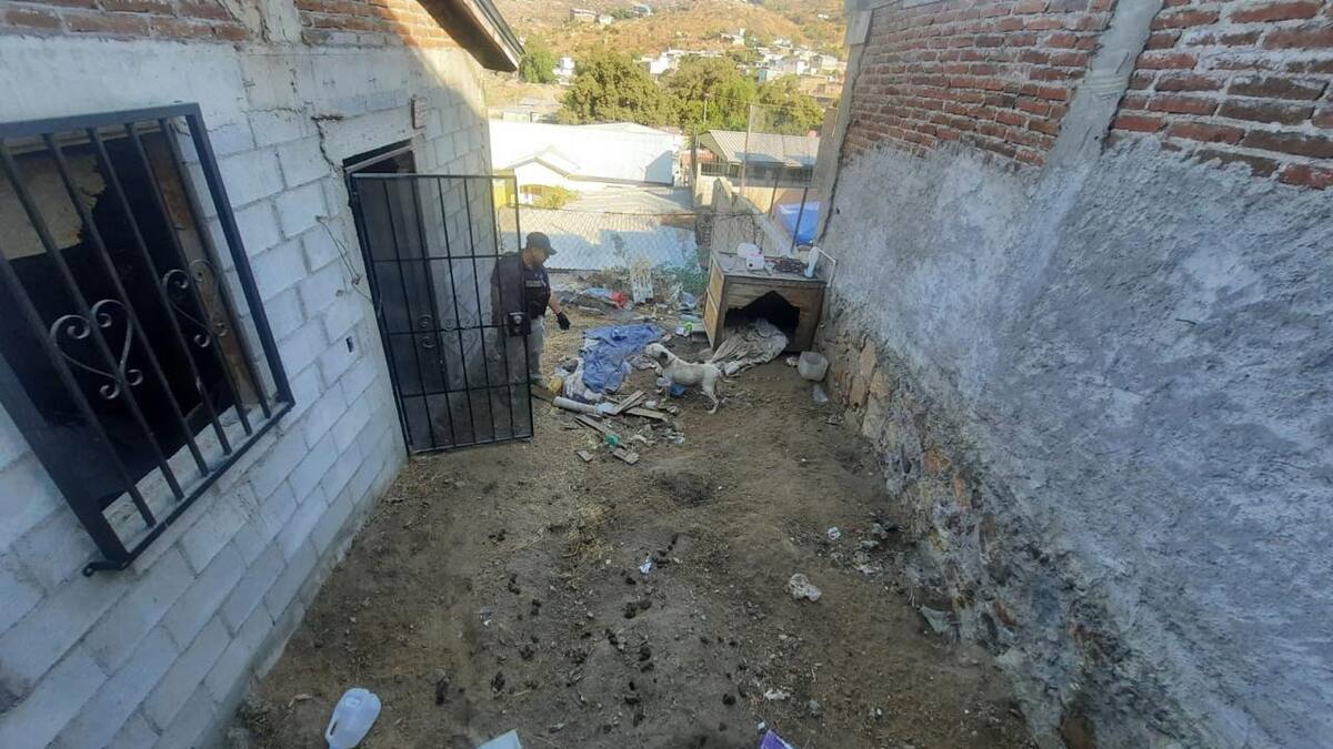 El rescate ocurrió tras un cateo en una vivienda ubicada en la calle Francisco Villa de la colonia Emiliano Zapata.