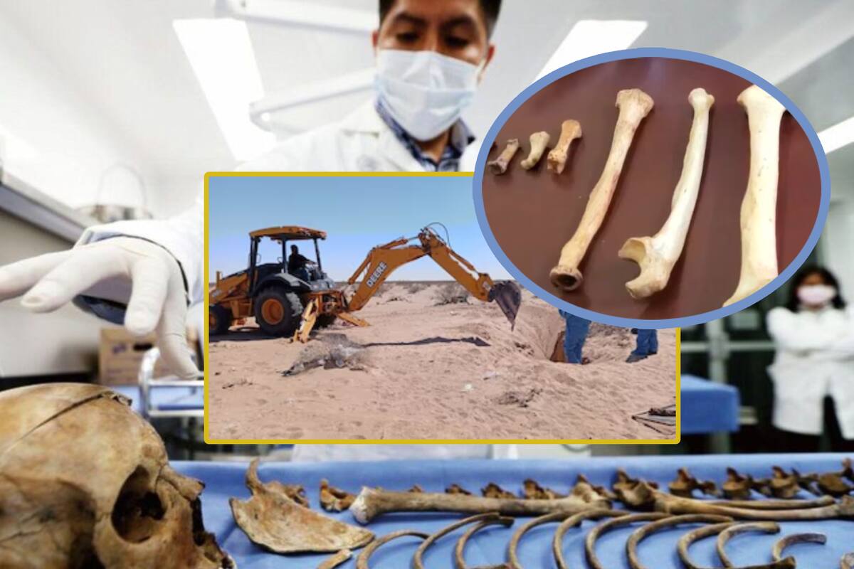 FGR construirá osteoteca para identificar restos humanos