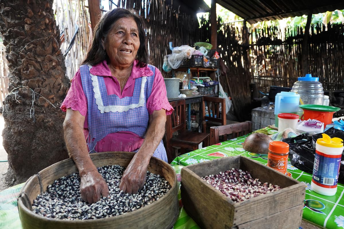 Una mujer muestra una cosecha de granos de maíz, el 30 de septiembre de 2023, en el municipio Santa Ana Zegache, Oaxaca (México). EFE/Jesús Méndez
