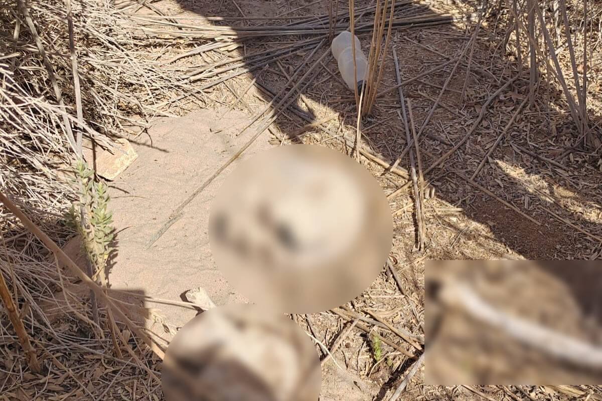 Localizan restos humanos en zona limítrofe entre Sonora y Baja California