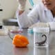 Científicos de la UNAM descubren en el veneno de un alacrán y en el chile habanero tres nuevos antibióticos capaces de combatir la tuberculosis y bacterias resistentes que causan miles de muertes en hospitales de todo el mundo cada año