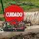 Se escapa tigre de bengala en Puebla tras fuertes lluvias: autoridades piden no acercarse y reportar al 911