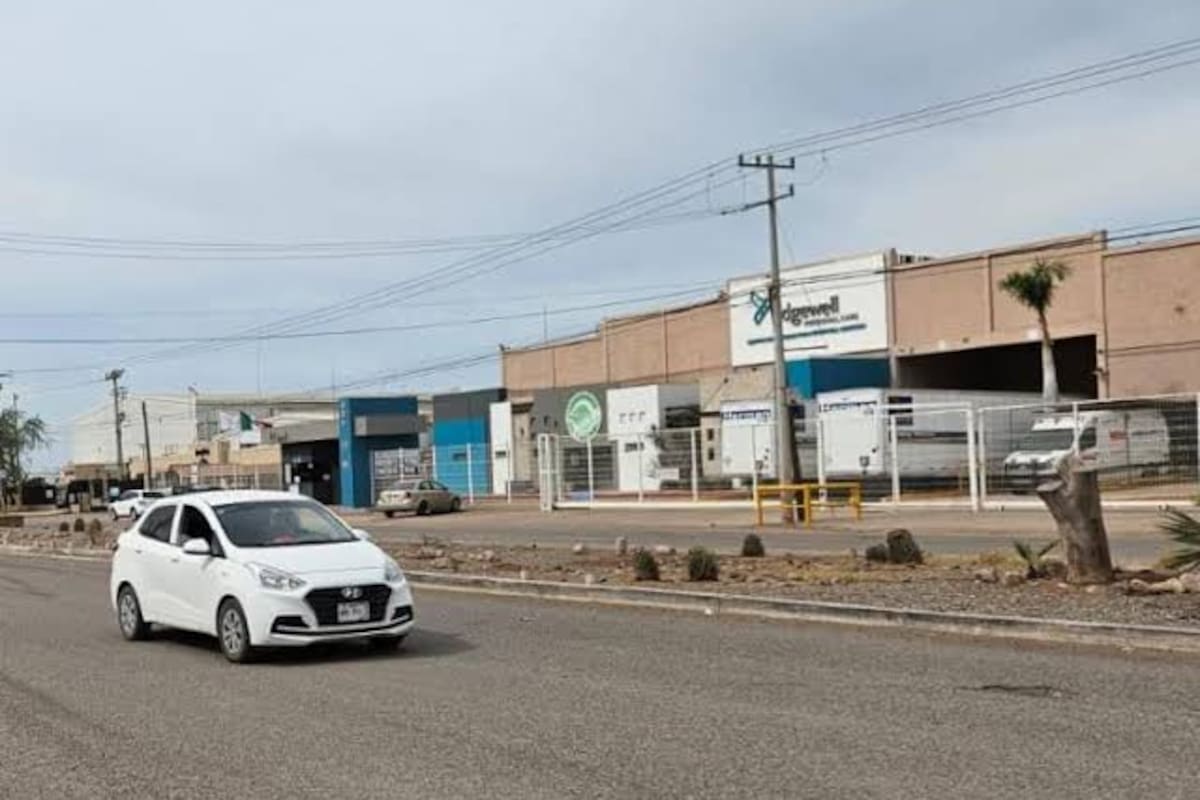 Liquidarán a 500 trabajadores por cierre de empresa en Ciudad Obregón