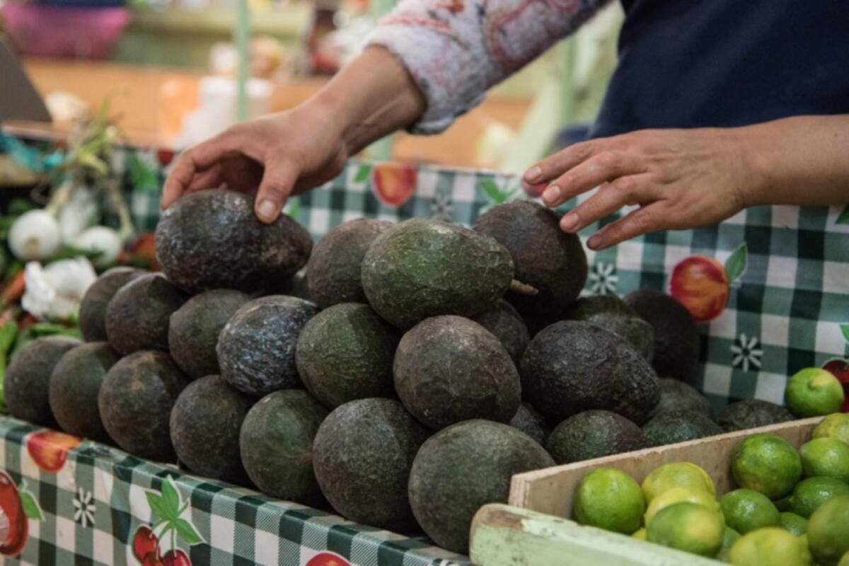 Monterrey: Kilo de aguacate llega hasta los 140 pesos