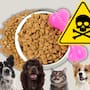Famosa comida para gatos y perros es retirada urgentemente; FDA alerta que puede causar convulsiones y otros problemas graves