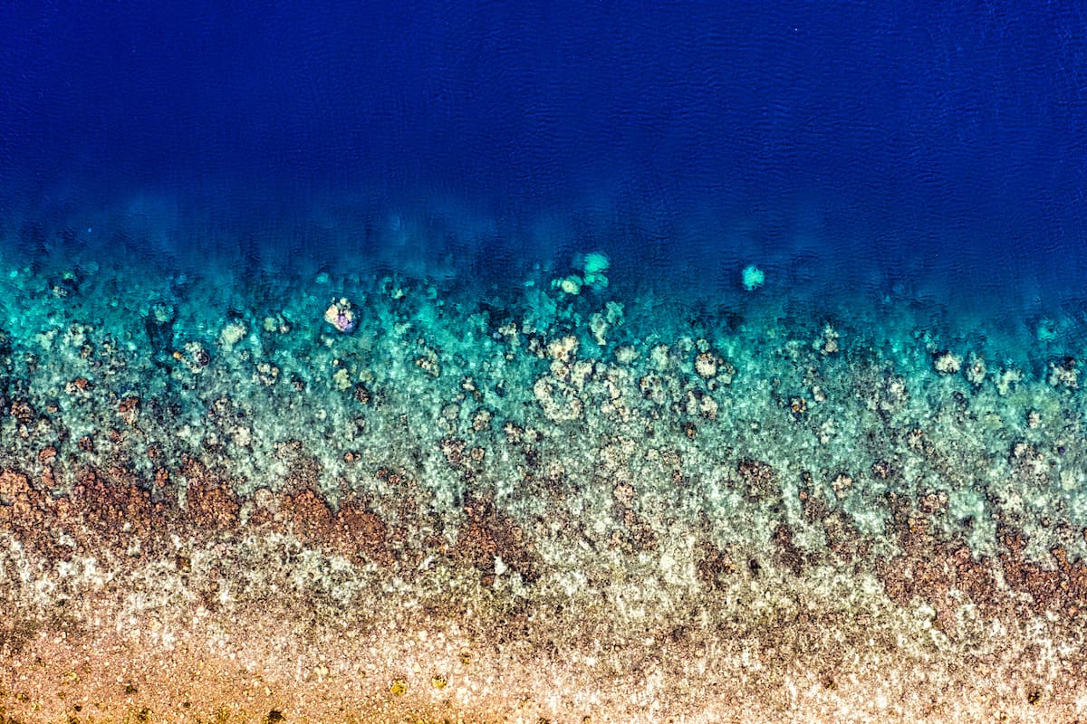 Un fragmento del fondo oceánico quedó atrapado bajo el Pacífico durante más de 250 millones de años