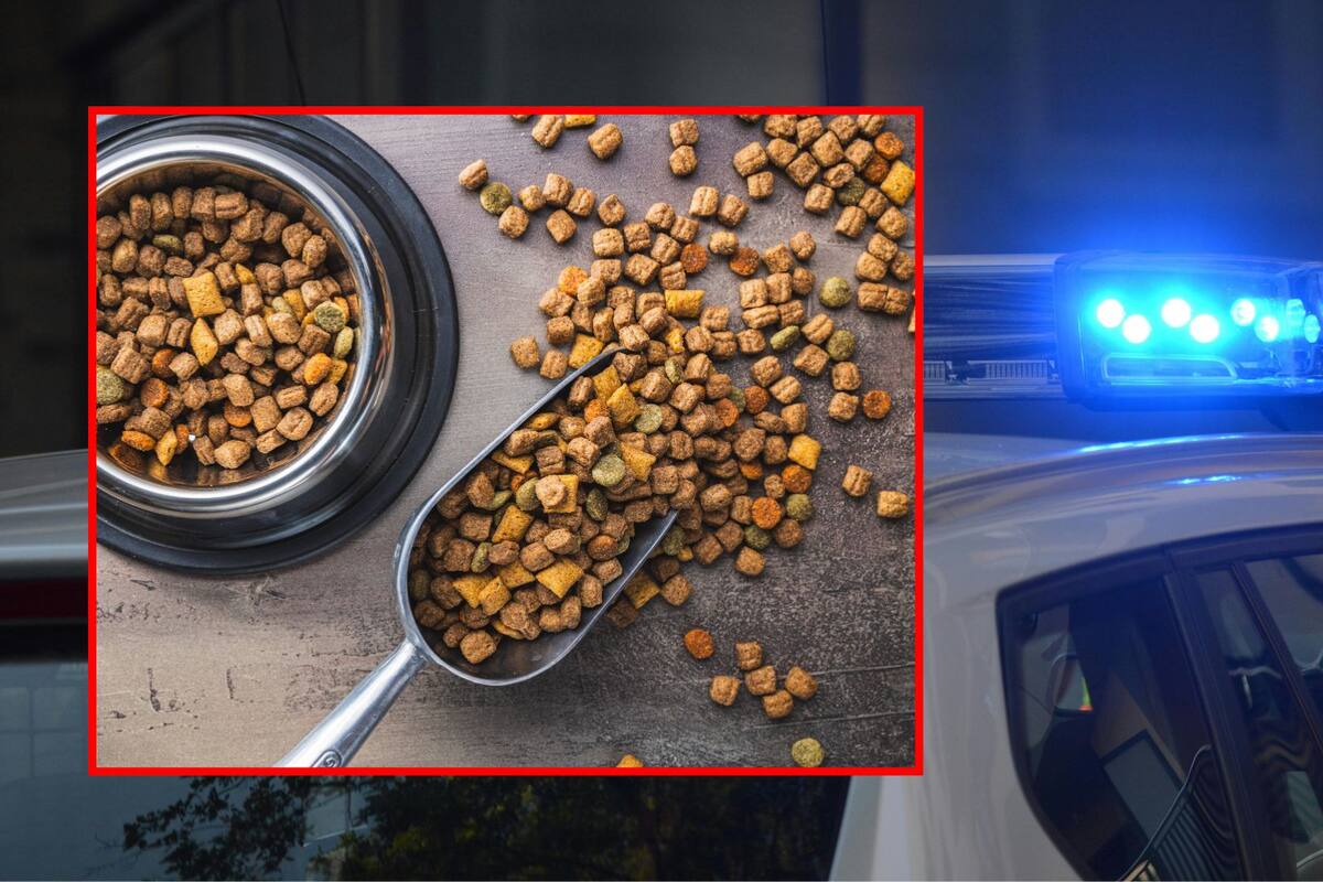 Roban 700 mil pesos en comida para perros en negocio de Puebla