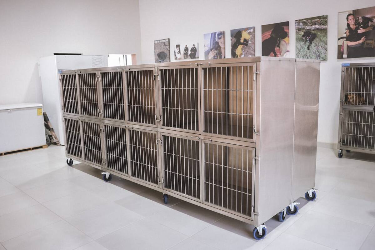 Foto: Daniel Reséndiz