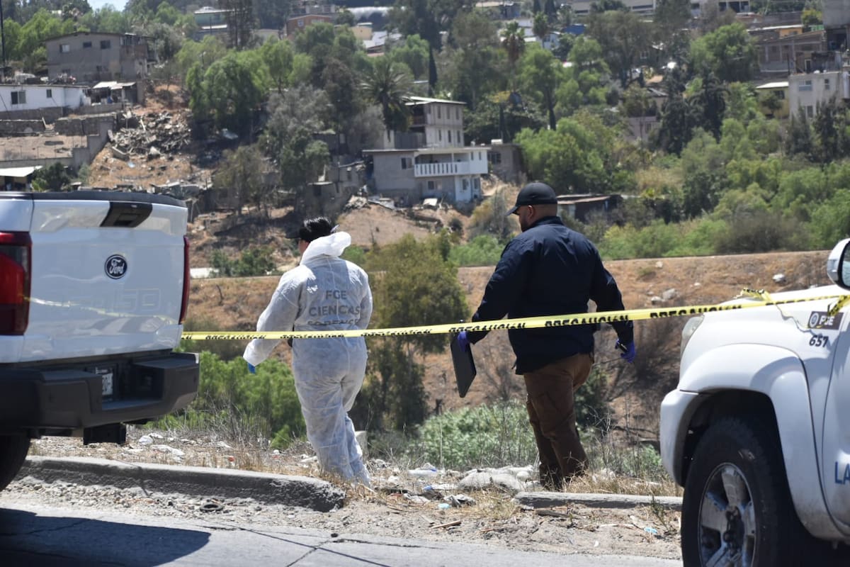 Detienen a uno por presunto maltrato animal