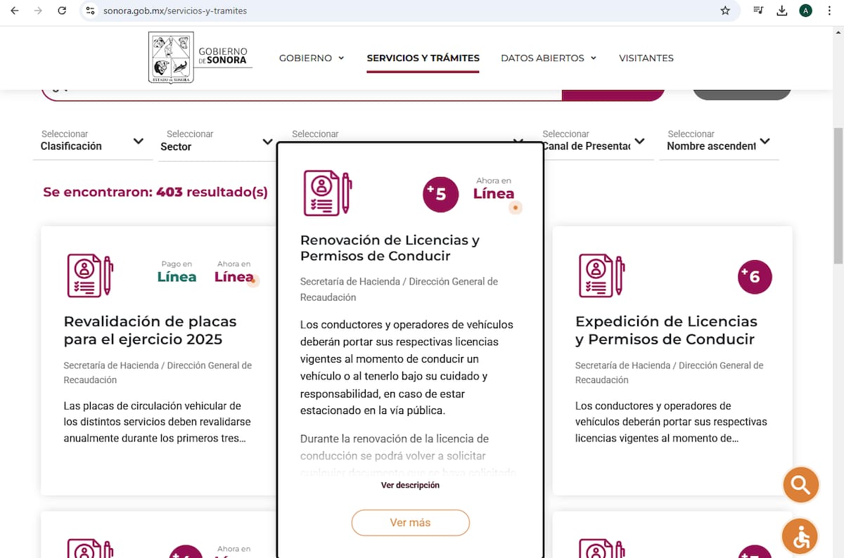Renovación de Licencias y Servicios de Conducir. | Captura de pantalla