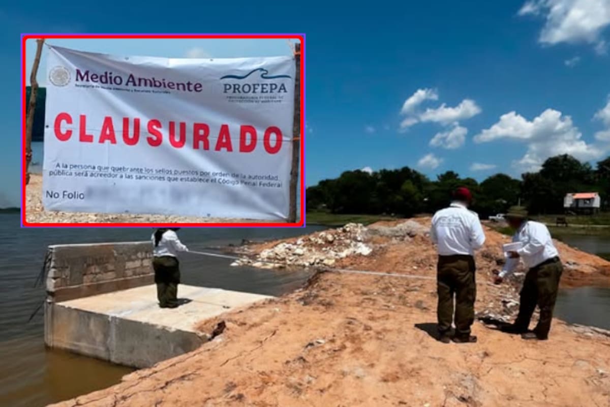 Sellan obras ilegales en Laguna de Catazajá, Chiapas: Profepa clausura camino construido dentro del agua con maquinaria pesada