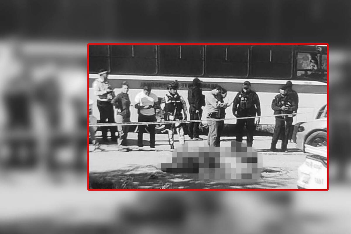 Atacan con drones a agentes de la Guardia Estatal y hallan 6 cuerpos torturados en carretera de Tamaulipas