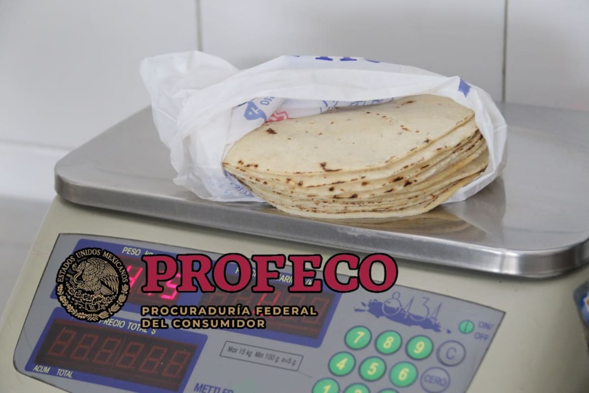 Profeco desmiente multas de 4 millones de pesos por vender tortillas en hieleras y aclara que que las inspecciones oficiales se limitan exclusivamente a vigilar precios a la vista y básculas calibradas