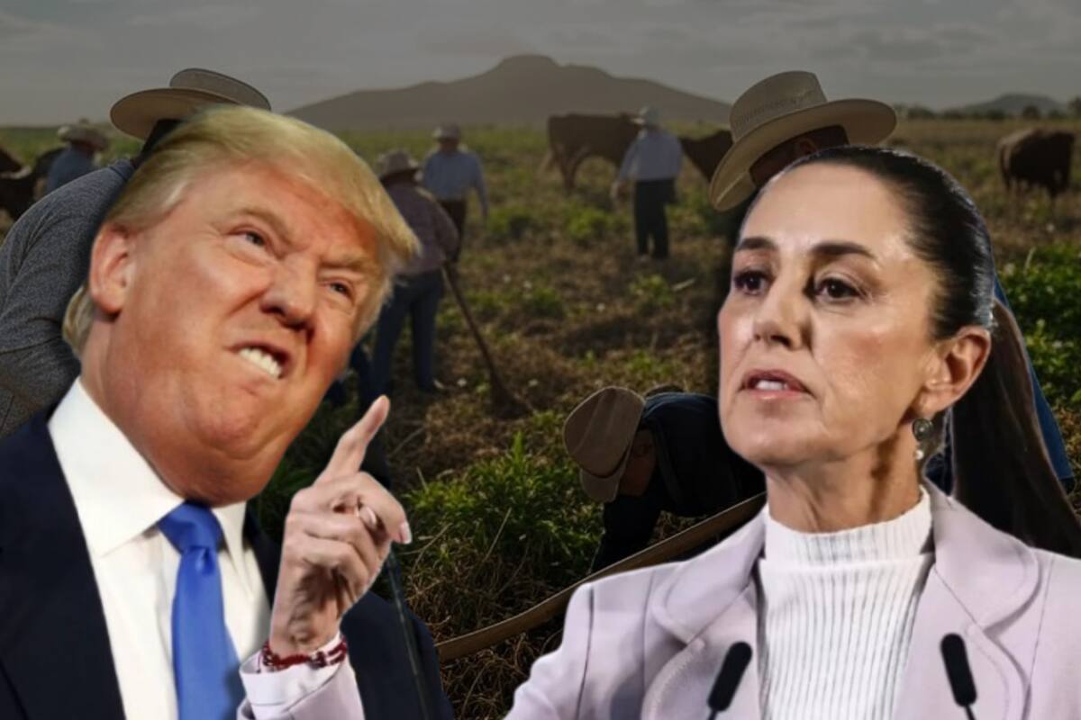 Estos productos serán los más afectados con aranceles de Trump en México, según el CNA