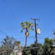 Vecinos de Buena Vista llevan más de 24 horas sin luz