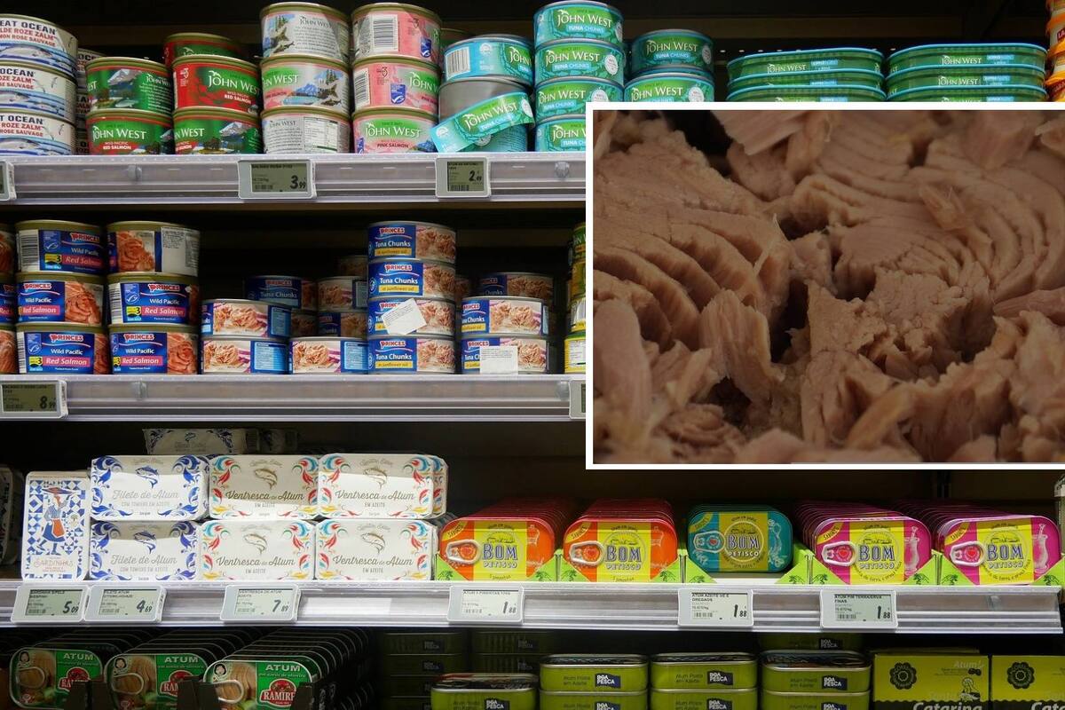 ¿Cuántas latas de atún puedes consumir semanalmente para que no resulte dañino para tu salud?