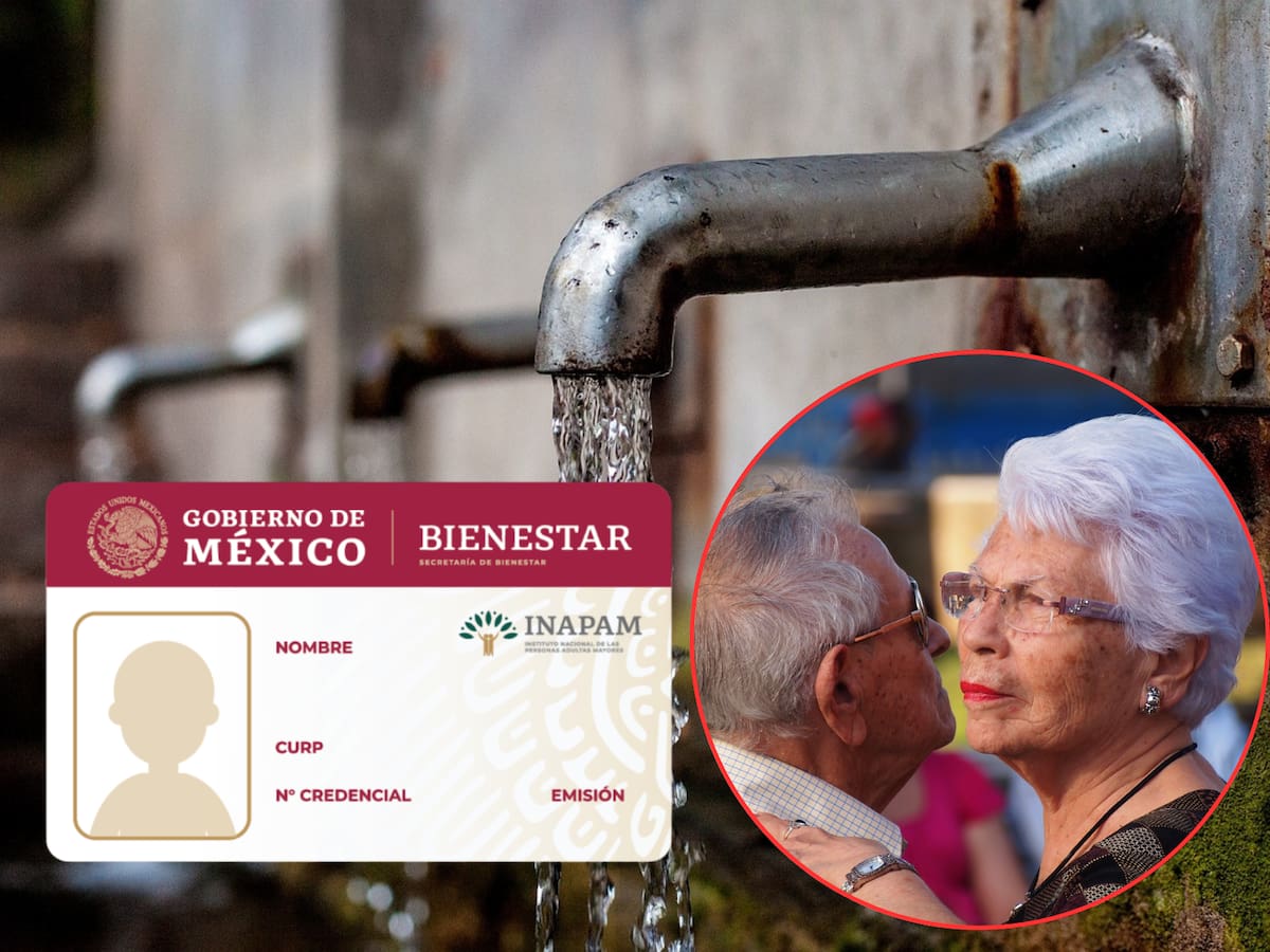 Inapam 2024: Estos son los requisitos para tramitar la tarjeta que proporciona múltiples beneficios a los adultos mayores de 60 años.