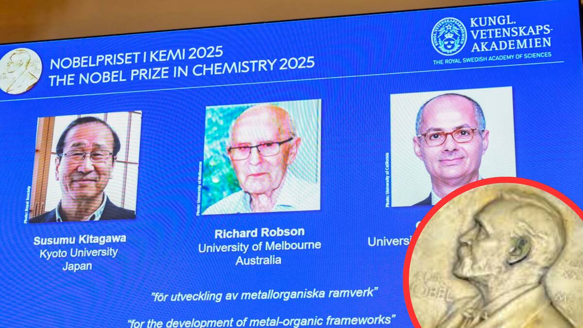 Premio Nobel de Química otorgado por materiales cristalinos que podrían revolucionar la tecnología verde