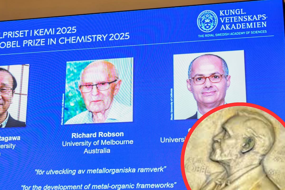 Premio Nobel de Química otorgado por materiales cristalinos que podrían revolucionar la tecnología verde