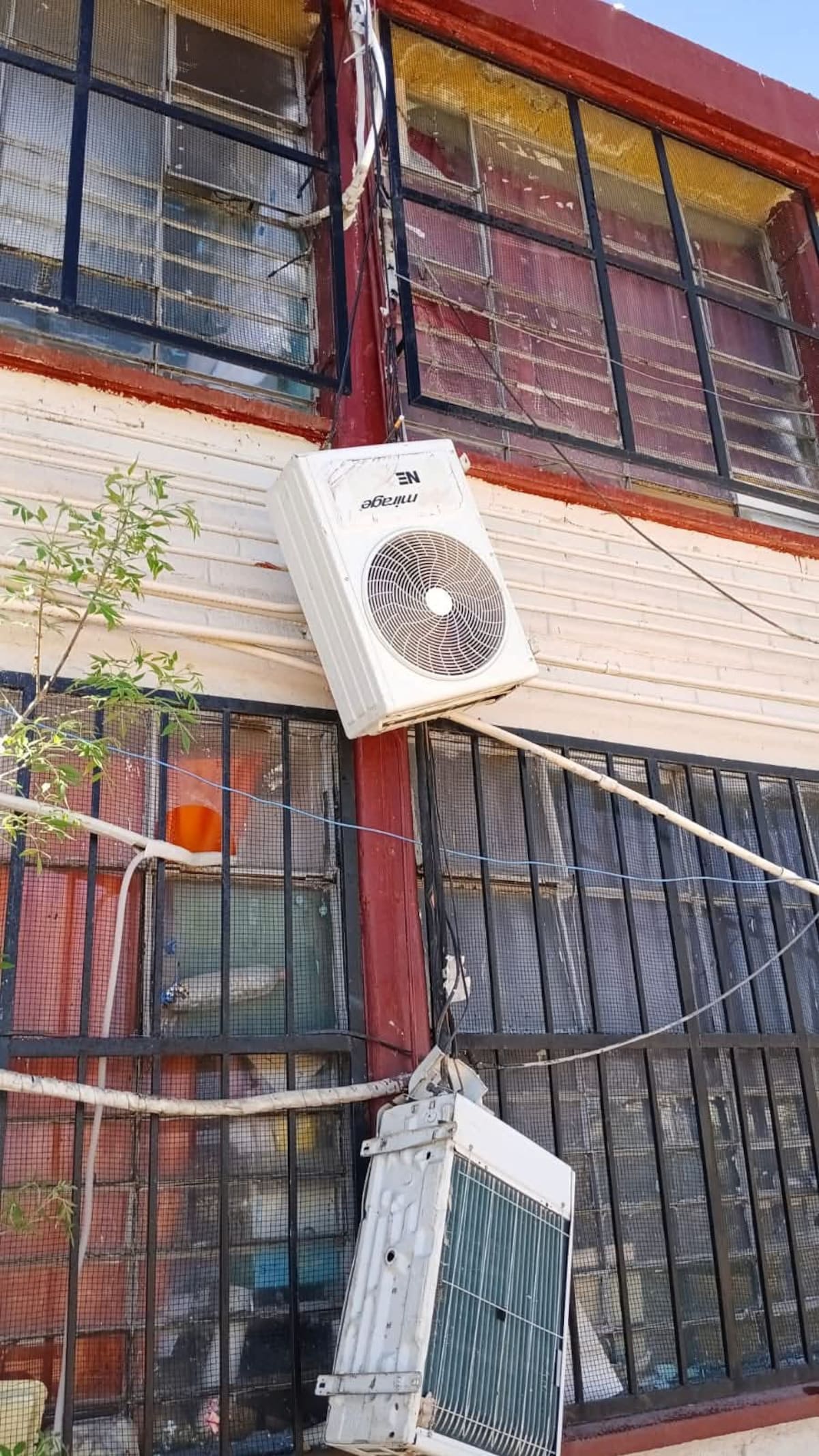 Foto: Manuel Jiménez.