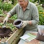 Expertos en jardinería explican cómo aprovechar los restos de café para aportar materia orgánica a las plantas y mejorar la composta en casa siguiendo recomendaciones de uso y cuidados básicos: ¿Cómo hacerlo?
