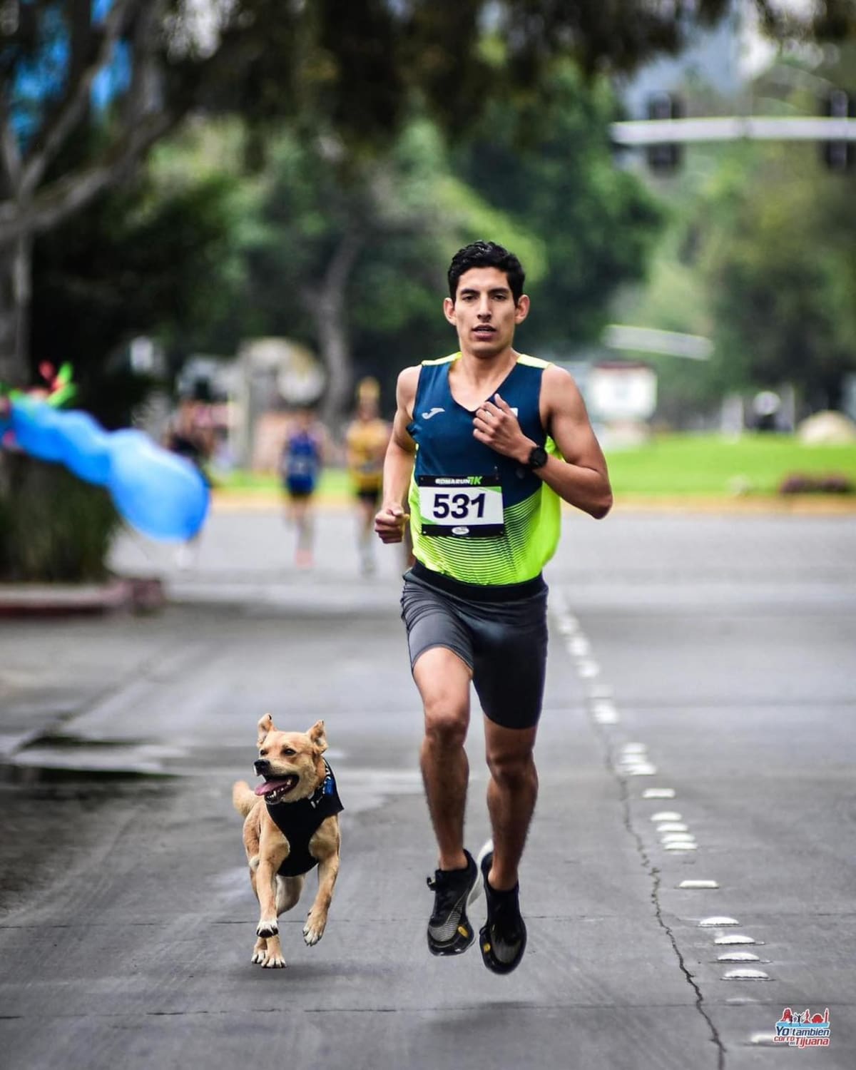 Corredores y vecinos rindieron homenaje en el mural que celebra al perro maratonista. Foto: Yo amo Tijuana