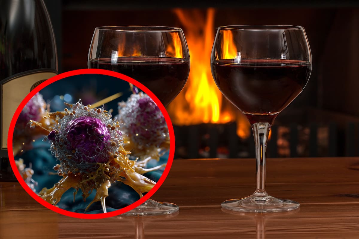 El alcohol causa cáncer y hasta un solo trago puede aumentar el riesgo: Una bióloga oncóloga explica por qué