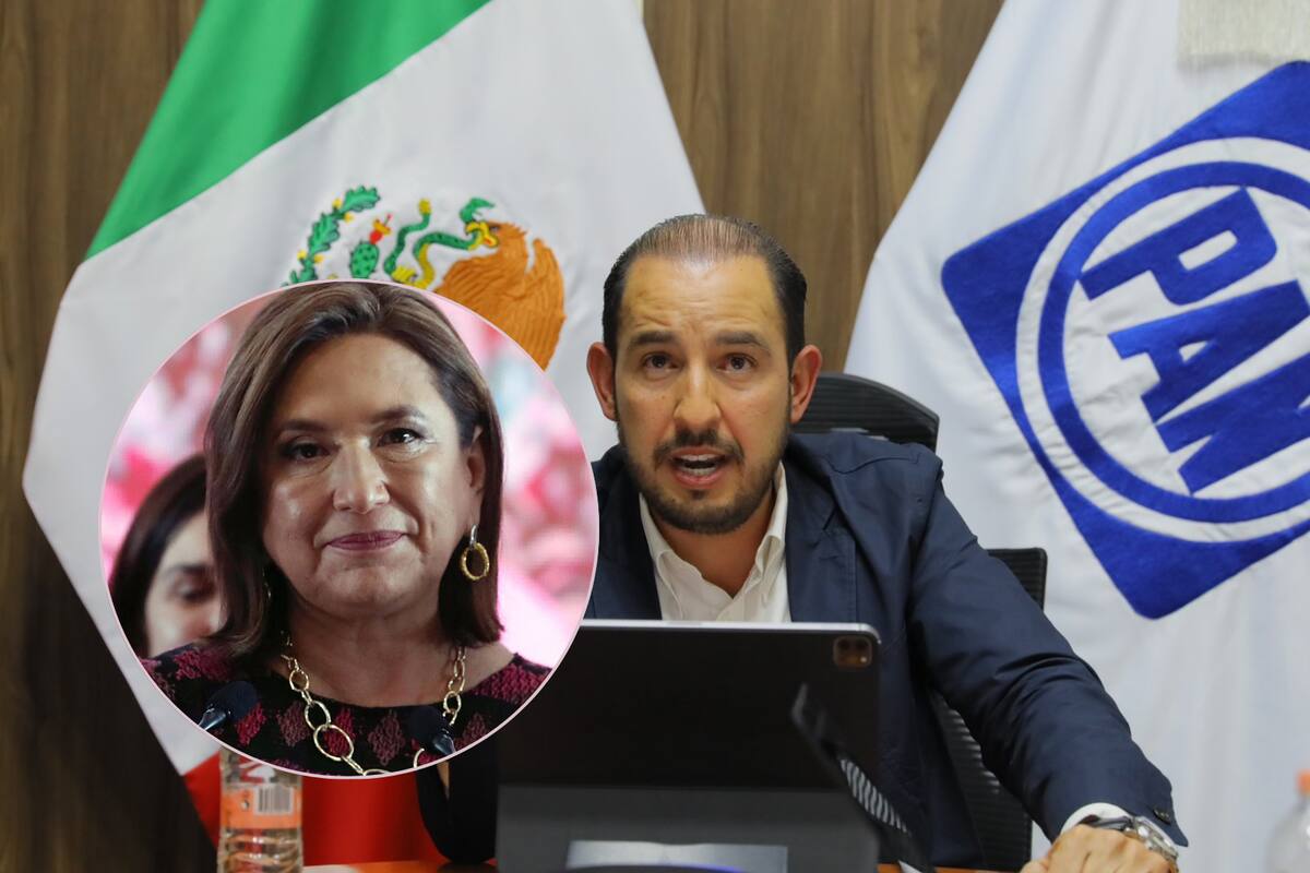 Marko Cortés niega haber gritado a Xóchitl Gálvez cuando felicitó a Sheinbaum: Hablo “claro, fuerte y asertivo”, dice