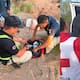 Rescatan a adulto mayor perdido en el desierto de Altar